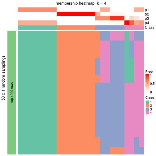 plot of chunk tab-node-02-membership-heatmap-3