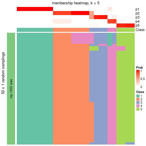 plot of chunk tab-node-02-membership-heatmap-4