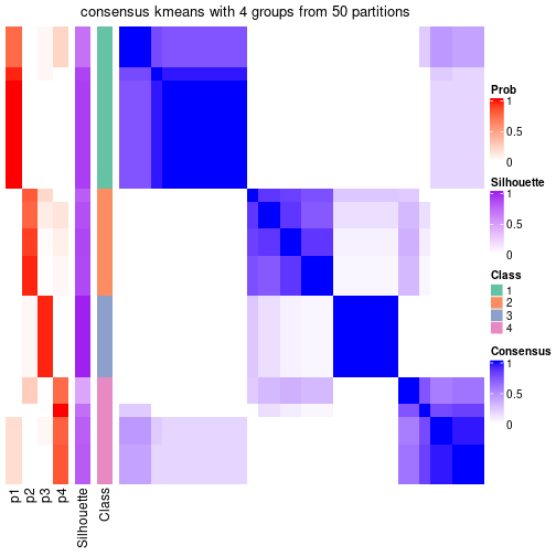 plot of chunk tab-node-03-consensus-heatmap-3