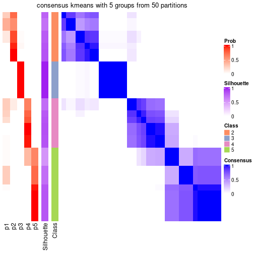 plot of chunk tab-node-03-consensus-heatmap-4