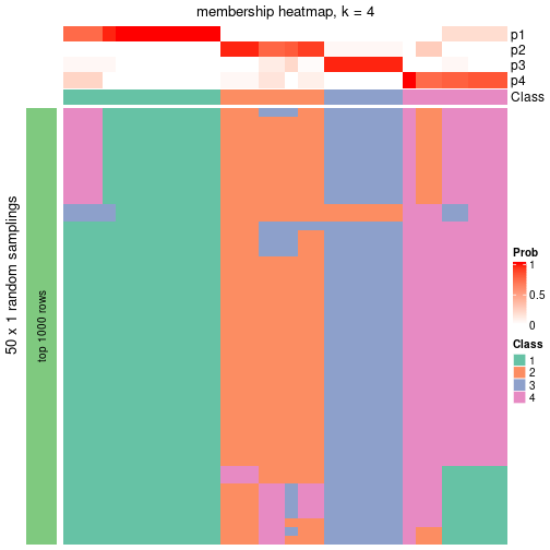 plot of chunk tab-node-03-membership-heatmap-3