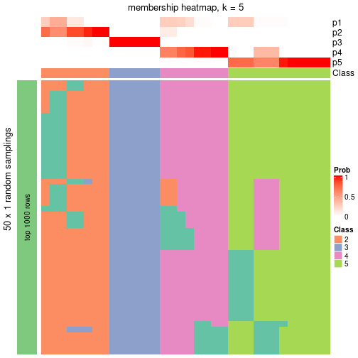 plot of chunk tab-node-03-membership-heatmap-4