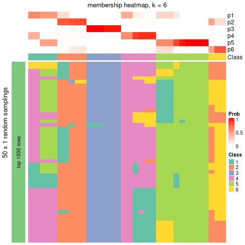 plot of chunk tab-node-03-membership-heatmap-5