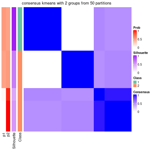 plot of chunk tab-node-031-consensus-heatmap-1