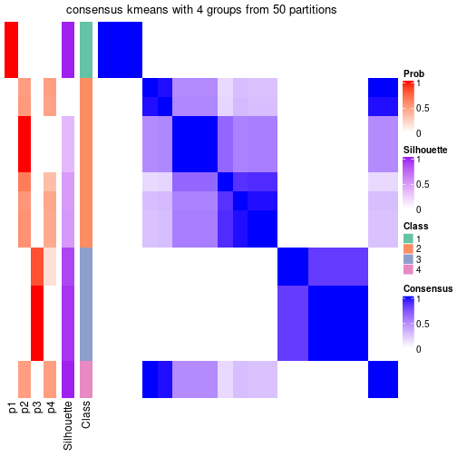 plot of chunk tab-node-031-consensus-heatmap-3