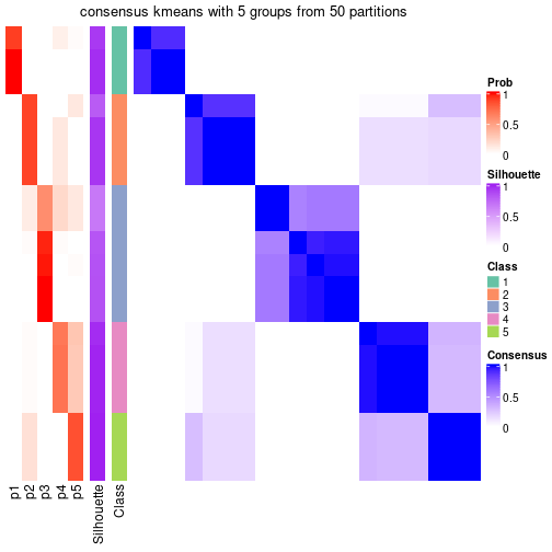 plot of chunk tab-node-031-consensus-heatmap-4