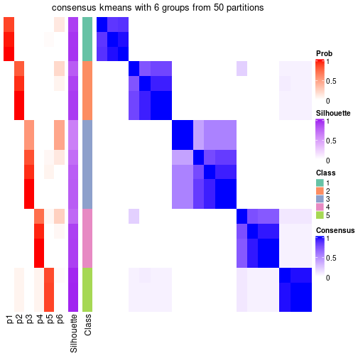 plot of chunk tab-node-031-consensus-heatmap-5