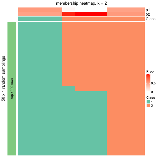 plot of chunk tab-node-031-membership-heatmap-1