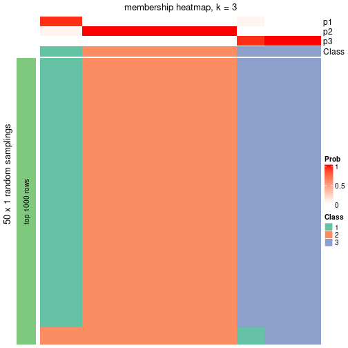 plot of chunk tab-node-031-membership-heatmap-2