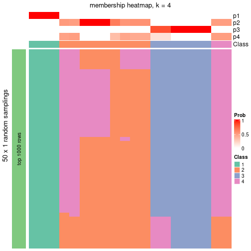 plot of chunk tab-node-031-membership-heatmap-3