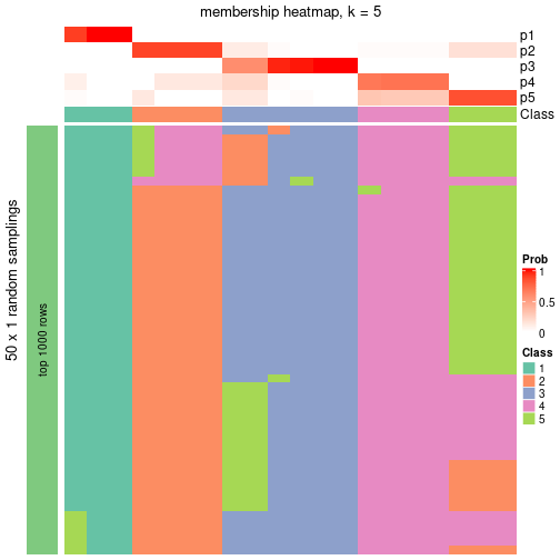 plot of chunk tab-node-031-membership-heatmap-4