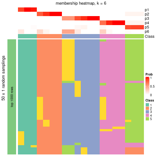 plot of chunk tab-node-031-membership-heatmap-5