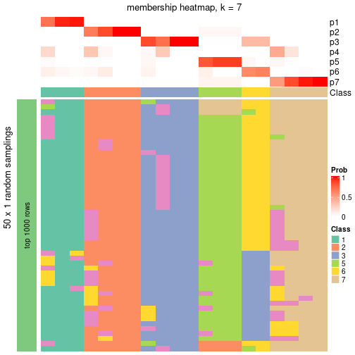 plot of chunk tab-node-031-membership-heatmap-6