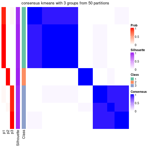 plot of chunk tab-node-032-consensus-heatmap-2