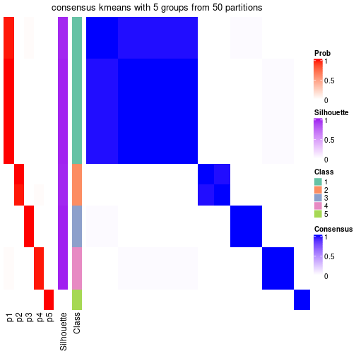 plot of chunk tab-node-032-consensus-heatmap-4