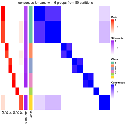 plot of chunk tab-node-032-consensus-heatmap-5