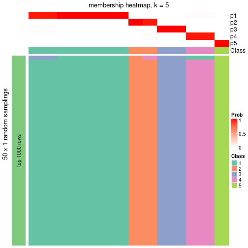 plot of chunk tab-node-032-membership-heatmap-4