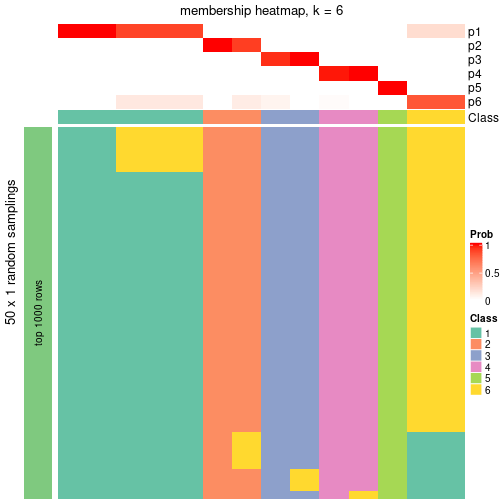 plot of chunk tab-node-032-membership-heatmap-5