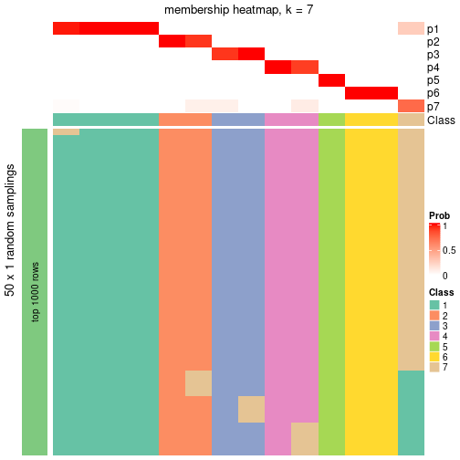 plot of chunk tab-node-032-membership-heatmap-6