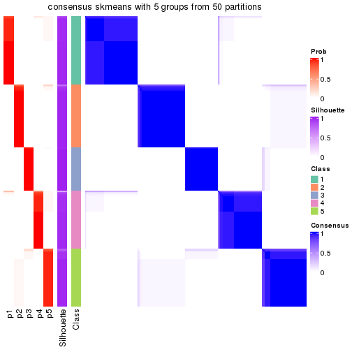 plot of chunk tab-node-0-consensus-heatmap-4