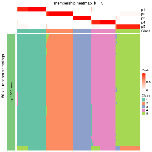 plot of chunk tab-node-0-membership-heatmap-4