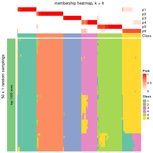 plot of chunk tab-node-0-membership-heatmap-5