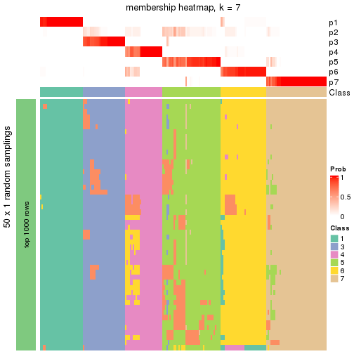 plot of chunk tab-node-0-membership-heatmap-6