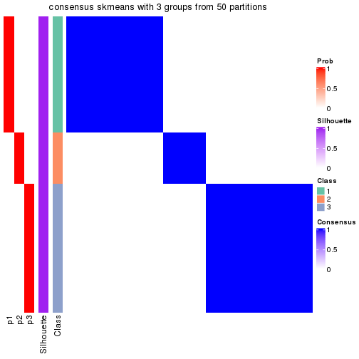 plot of chunk tab-node-01-consensus-heatmap-2