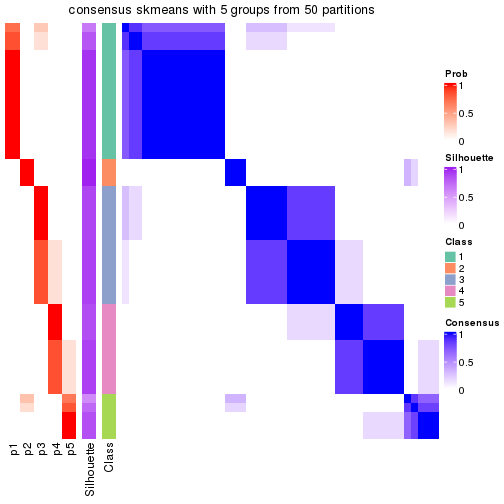 plot of chunk tab-node-01-consensus-heatmap-4