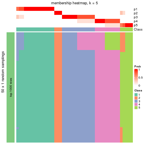 plot of chunk tab-node-01-membership-heatmap-4