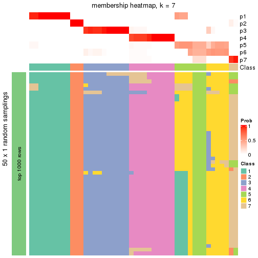 plot of chunk tab-node-01-membership-heatmap-6