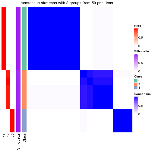 plot of chunk tab-node-013-consensus-heatmap-2