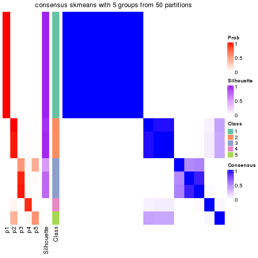 plot of chunk tab-node-013-consensus-heatmap-4