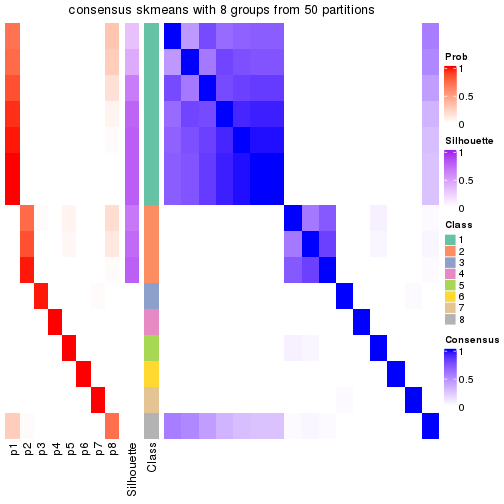 plot of chunk tab-node-013-consensus-heatmap-7