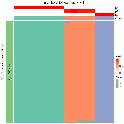 plot of chunk tab-node-013-membership-heatmap-2