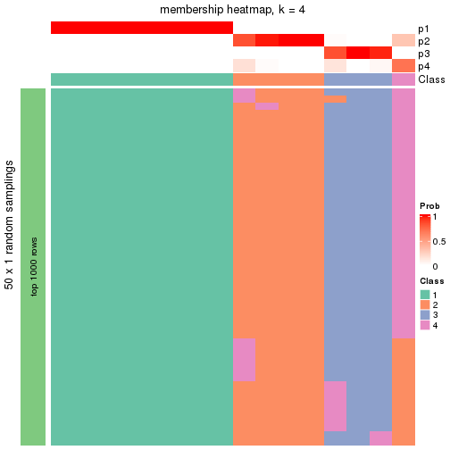 plot of chunk tab-node-013-membership-heatmap-3