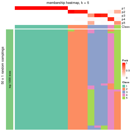 plot of chunk tab-node-013-membership-heatmap-4