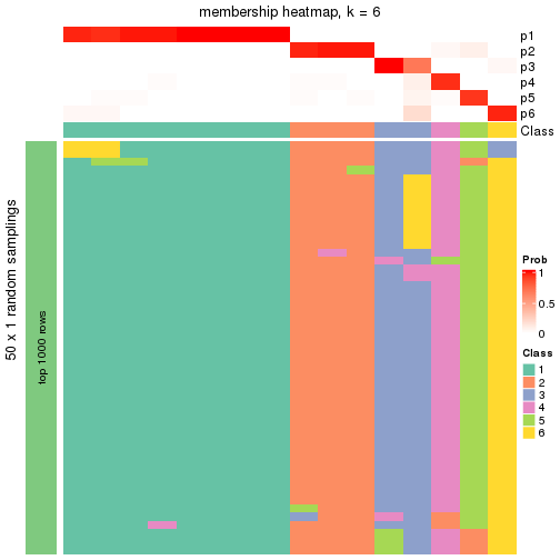 plot of chunk tab-node-013-membership-heatmap-5