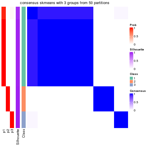 plot of chunk tab-node-03-consensus-heatmap-2