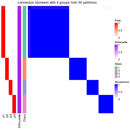 plot of chunk tab-node-03-consensus-heatmap-3