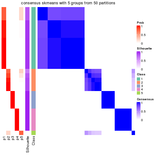 plot of chunk tab-node-03-consensus-heatmap-4