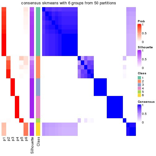 plot of chunk tab-node-03-consensus-heatmap-5