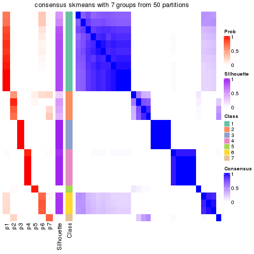 plot of chunk tab-node-03-consensus-heatmap-6