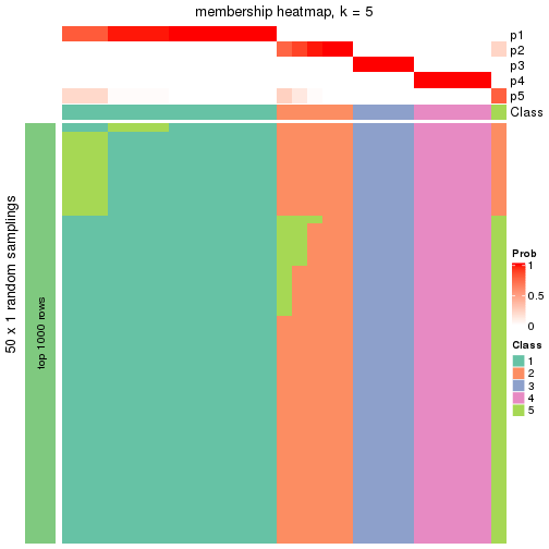 plot of chunk tab-node-03-membership-heatmap-4