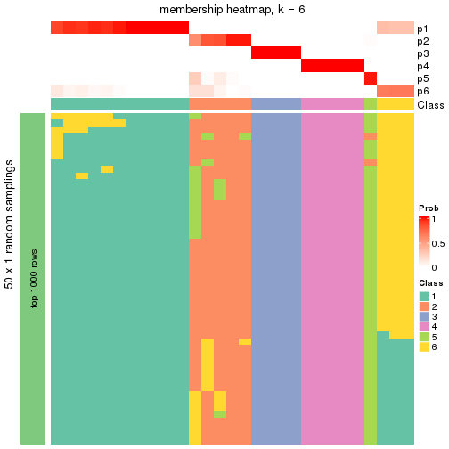 plot of chunk tab-node-03-membership-heatmap-5