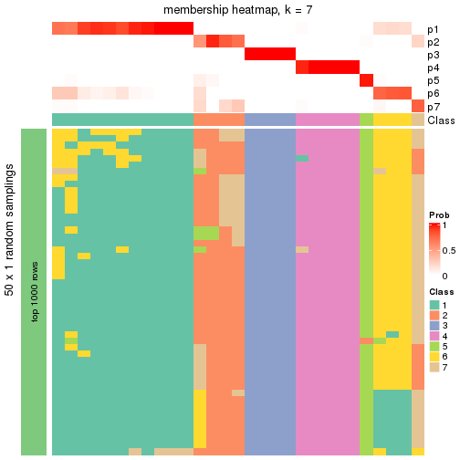 plot of chunk tab-node-03-membership-heatmap-6