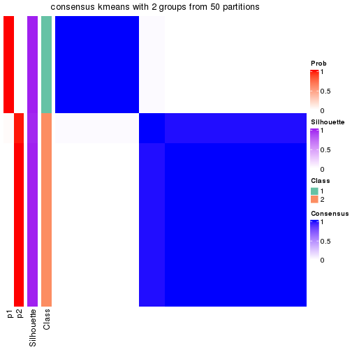 plot of chunk tab-node-04-consensus-heatmap-1