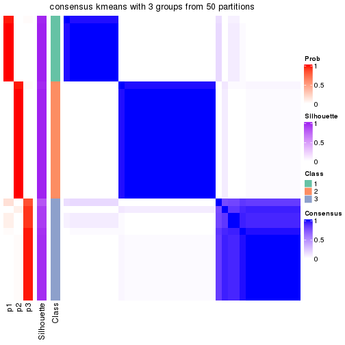 plot of chunk tab-node-04-consensus-heatmap-2