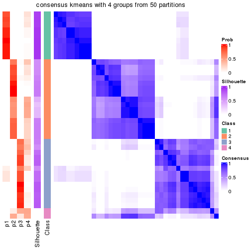 plot of chunk tab-node-04-consensus-heatmap-3