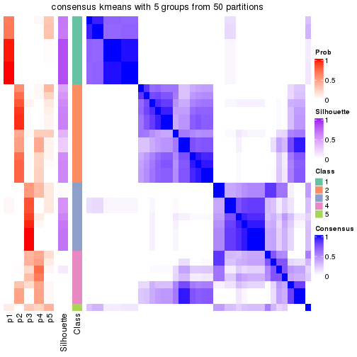 plot of chunk tab-node-04-consensus-heatmap-4